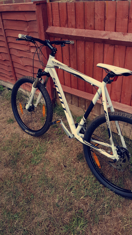 scott aspect 40 mountain bike